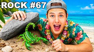 I Flipped 100 Rocks on a TROPICAL ISLAND, Here's what I Found..
