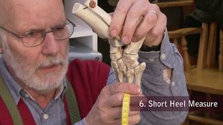 02 The Soft Tissue Structures and Bones of the Foot