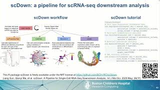scDown v1 Tutorial