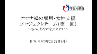 コロナ禍の雇用・女性支援プロジェクトチーム（第一回）