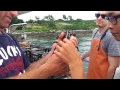 lucky catch lobster fishing portland maine summer 2014