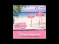 flamingosi nebojsa audio 2011 hd