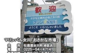 【絆みやぎ】TBCラジオ10/5放送 マリンパル女川「おさかな市場」10/7復活！