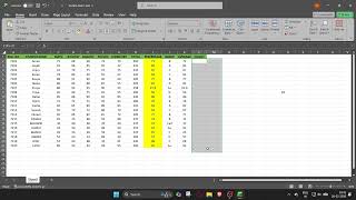 Task 1: Data Entry and Basic Functions in Excel