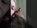 Если кому нибудь стуканёшь... cat кот рекомендации