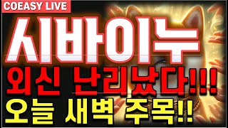 [시바이누 전망] \