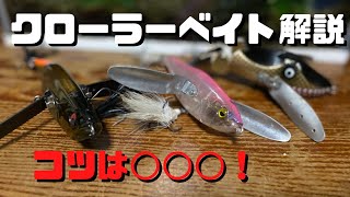 【バス釣り】クローラーベイトの使い方、アクションを徹底解説。使い方がわからない人、55超えのモンスターが釣りたい人はこの使い方を真似してみてください。　【ダッジ】【デカダッジ】【アベンタ】【ハネモノ】