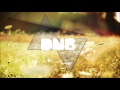 21 Pilots - Ride (Nysor Remix) (Drum And Bass)