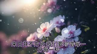 （第十五期）看完你就不焦虑了#最近的焦虑被这段话治愈了