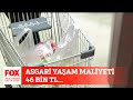 Asgari yaşam maliyeti 46 bin TL... 4 Kasım 2023 Gülbin Tosun ile FOX Ana Haber Hafta Sonu