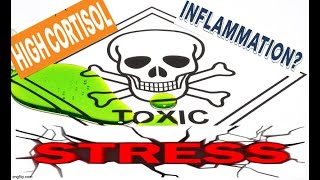 HOW TOXIC STRESS WILL IMPACT US ON A PHYSICAL  & MENTAL Level