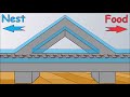 this is how ants find the shortest way to food ant colony optimization