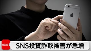 投資ブームの中で　SNS投資詐欺被害が急増（2024年3月7日）