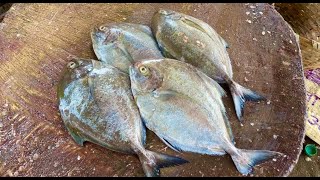 Panna Pomfret And Trevally Fish Cutting Skill/Kasimedu Fish Market