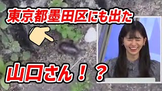 【大島璃音】ダンゴムシと山口さんを間違えて必死に弁明するも•••アウトのようです