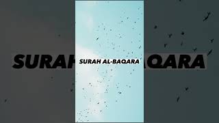 SURAH AL-BAQARA |Ayaat 75+76| Recitation by Mishary Rashid Alafasy | Islam The Heavenly Path