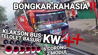 RAHASIA VIRAL DIBALIK KLAKSON BUS Om TELOLET Om BASURI V3 6 CORONG MOBIL ALPHARD ALA BRIS TRANS