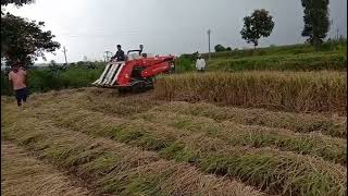 Daedong DSC 62G Half feed combine Harvester paddy cutting machine,🌾Dhan🌾 cutting