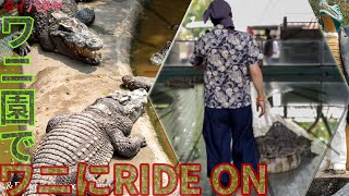 Visit a crocodile show and ride a crocodile! 【Thailand】