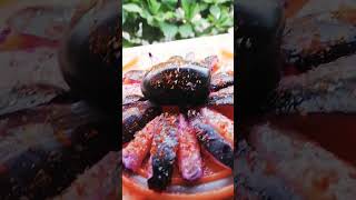 Jamu Koli || #jamun #yummyfood  #shortvideo #viral #shorts