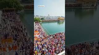 Millions of people visited Golden Temple, Amritsar 💕🙏🏻/new record/#viral #shorts