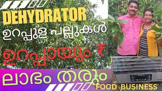 ഈ ബിസിനസ് തുടങ്ങിയാൽ ചിരി മായില്ല..Dehydrator Business idea