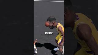 Can LeBron's Head Block A Shot?