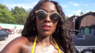 Video Vixen/Vlog