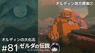 ゼルダティアキンやる！#81【ゼルダの伝説　ティアーズ オブ ザ キングダム】