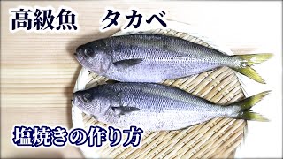 タカベの塩焼き【知る人ぞ知る】高級魚タカベの捌き方と食べ方を紹介！釣れた方是非