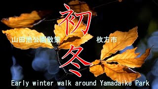 初冬　山田池公園散策2021　枚方市 Early winter walk around Yamadaike Park  Hirakata City　Osaka Japan