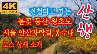 4K [서울등산] 서대문 안산자락길 안산봉수대 등산/안산 자락길코스  전체 상세소개/서울꽃길산행 꽃길트레킹/Seoul hiking/hiking in Korea/韓国登山[STV채널]