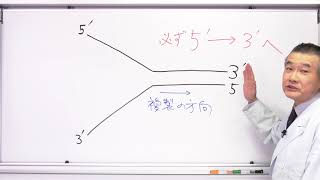 映像授業　高校とってもやさしい生物　第3回　DNAの複製の方向を理解しよう