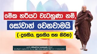 මේක හරියට වැටහුණා නම්, සෝවාන් වෙනවාමයි (දුගතිය, සුගතිය සහ නිවන) - Ven. Bambalapitiye Gñanaloka Thero