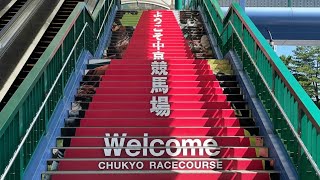 2021.10.02   愛知　中京競馬場　  (Chukyo Racecourse)