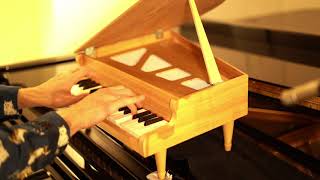 Beethoven Piano Sonata "Appassionata" on Toy Piano