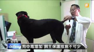 【2013.08.05】狂犬疫情升溫 狗中毒個案增加 -udn tv