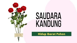 Hidup Ibarat Pohon, Renungan Untuk Saudara