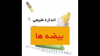 اندازه طبیعی بیضه ها _ دکتر سید امین میرصادقی