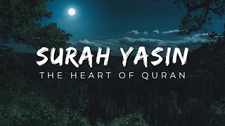 Surah Yaseen Beautiful Quran Recitation | Qari Tareq Mohammed @euphoniousquran3080