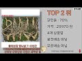 2024년 12월 산양삼 best3 추천 꼭 보세요 추천 특가 가격 후기 비교