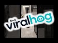 Unbothered Cat Rides a Robot Vacuum || ViralHog