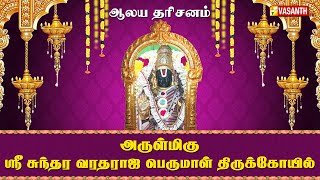 அருள்மிகு ஸ்ரீ சுந்தர வரதராஜ பெருமாள் திருக்கோயில் | Aalaya Dharisanam | Vasanth TV