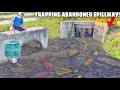 Trapping Aquarium Fish in ABANDONED SPILLWAY!