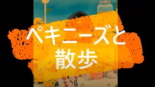 ペキニーズと散歩　ハーレーでわんこツーリング　ドックカフェ巡り　　　和Style Cafe〜かまくら