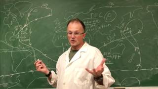Patterns in Global Ocean Currents & Changes