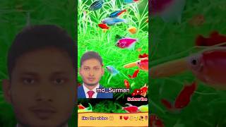 মাশাআল্লাহ এত সুন্দর মাছ😳🥀Masha Allah such a beautiful fish #shortvideo #islamicvideo #duet #short