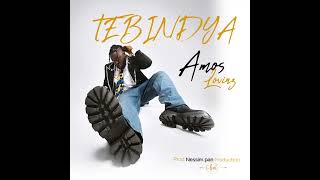 Amos Lovinz-TEBINDYA (Official HQ  Audio)