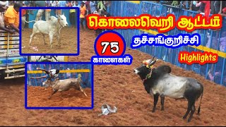 தச்சன்குறிச்சி ஜல்லிக்கட்டில் கலக்கிய காளைகள் Thachchankurichchi Highlights Best Videos... Tamizhan