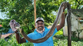 കായലിലെ കൂറ്റൻ അനാക്കോണ്ടയെ തളച്ചപ്പോൾ😳😱|Kerala fishing|Fishing kerala|DEEPU BABU|